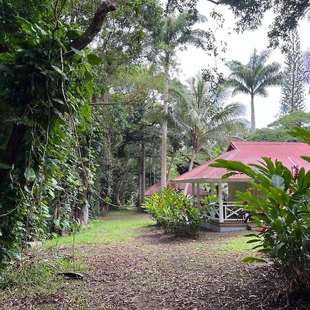 Evasion Bungalow D'Antan Spa Sarraméa 外观 照片