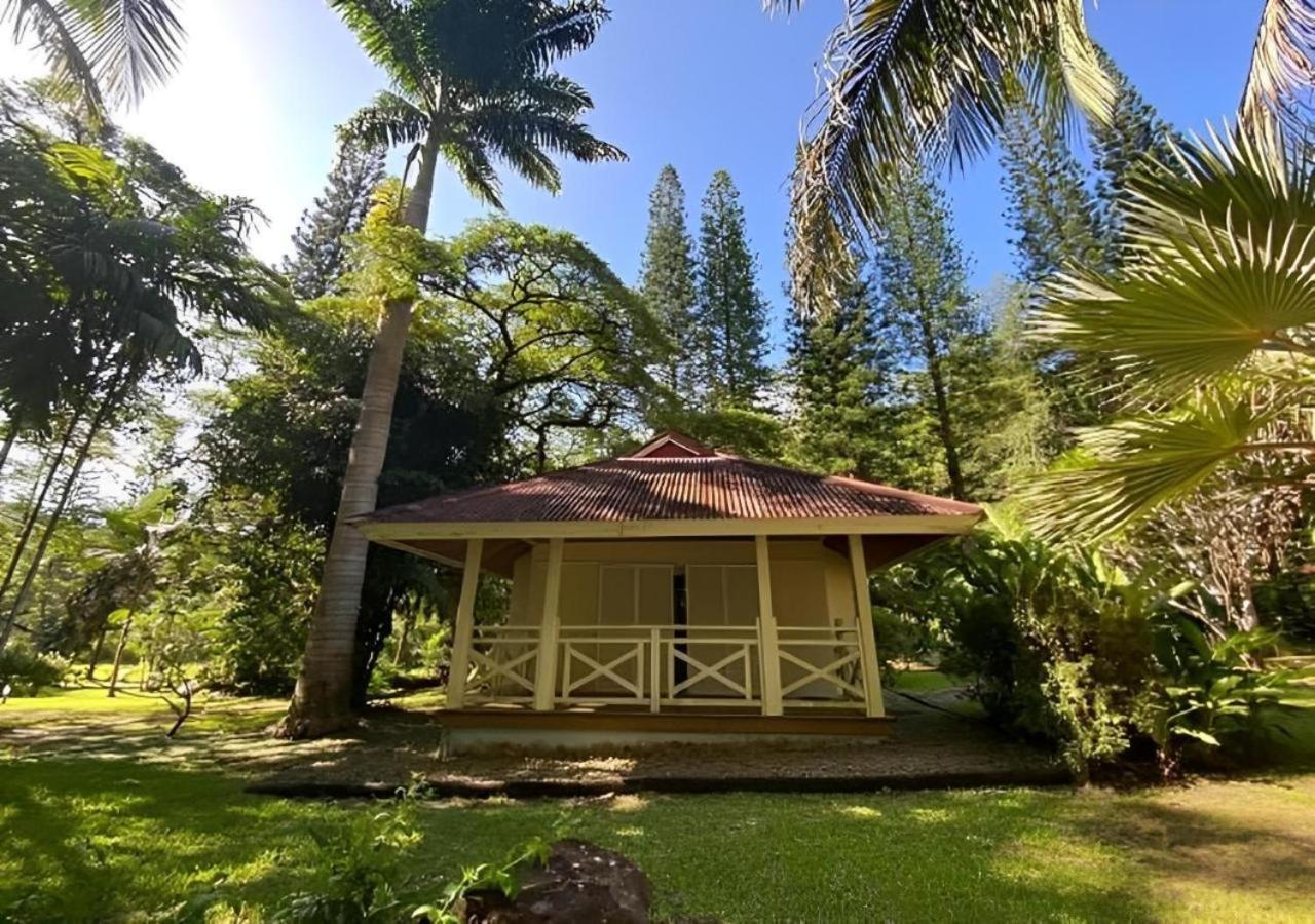 Evasion Bungalow D'Antan Spa Sarraméa 外观 照片