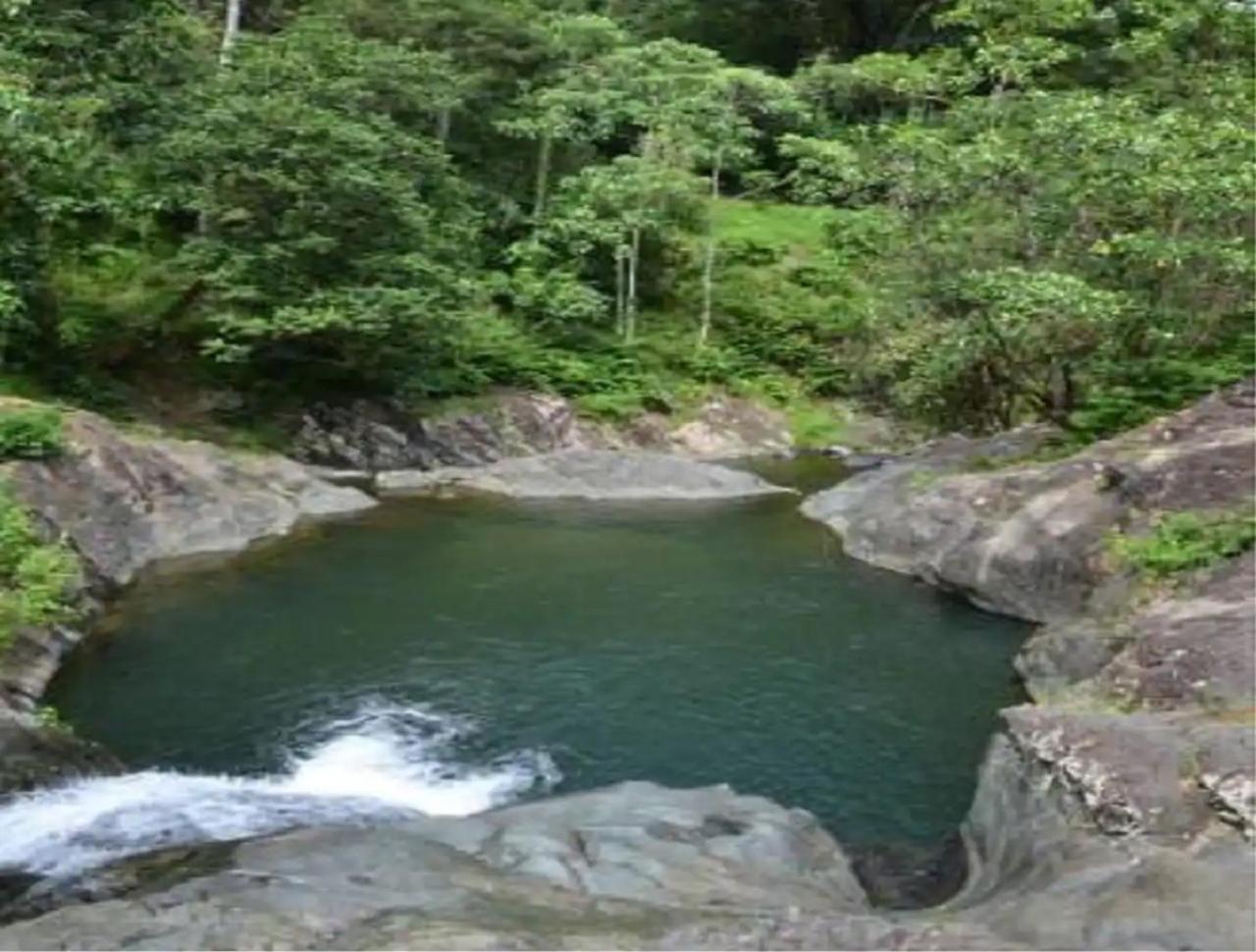 Evasion Bungalow D'Antan Spa Sarraméa 外观 照片
