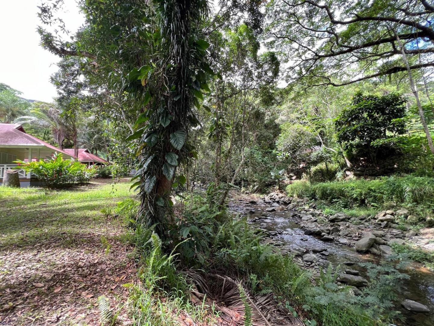 Evasion Bungalow D'Antan Spa Sarraméa 外观 照片