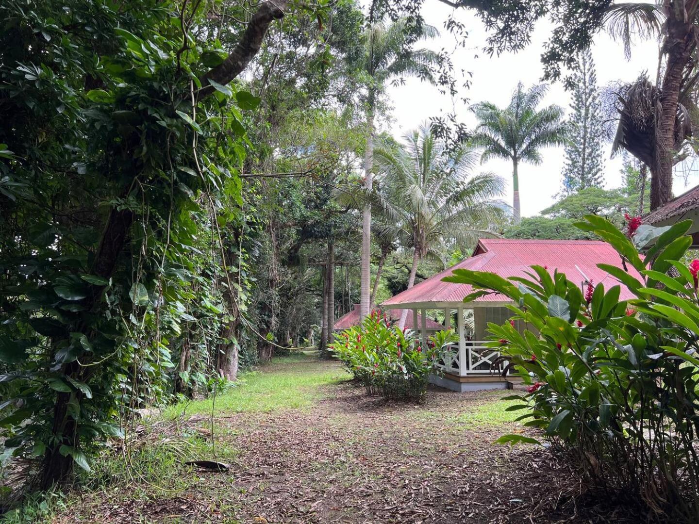 Evasion Bungalow D'Antan Spa Sarraméa 外观 照片